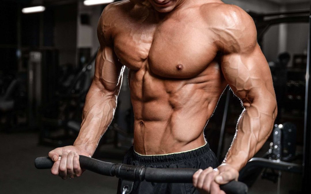 How can I build some muscle and stay lean?